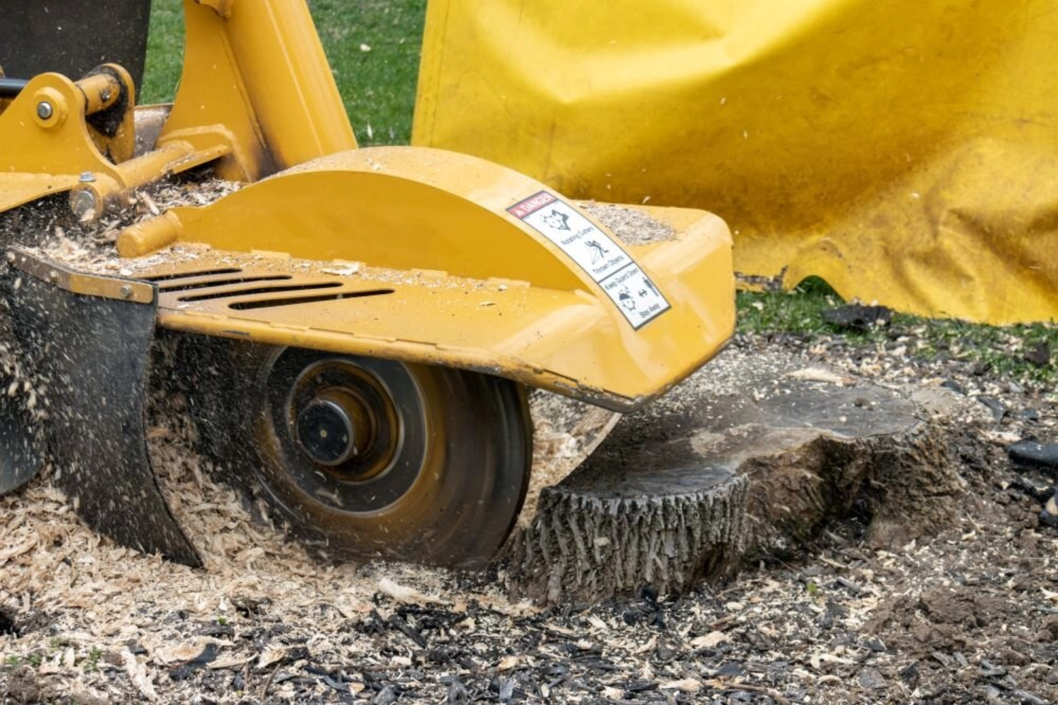 Tree Stump Grinding