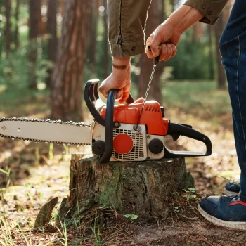 tree cutting kenmore